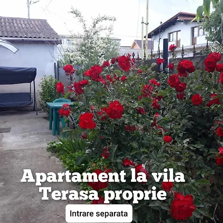 La Oana * Mangalia